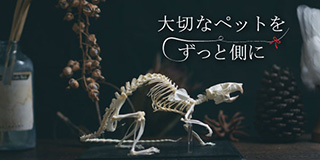 【標本葬】ペットの骨格標本制作