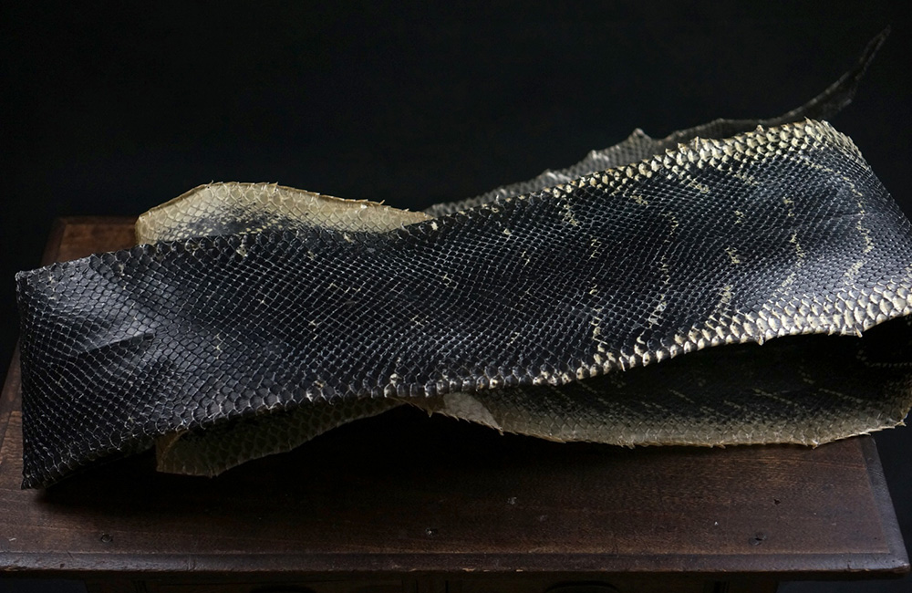 ベーレンパイソン全身の革